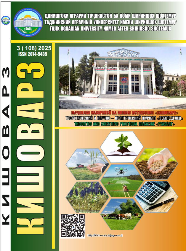 Кишоварз